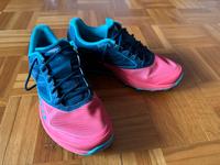 Dynafit Alpine Schuhe Trekking Trail orange dunkelblau 39 Bayern - Wartenberg Vorschau