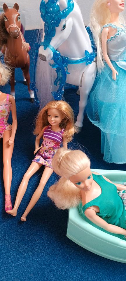 Barbie und Simba XXL Set in Dahlem