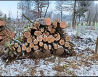 Brennholz 2rm Ster ab Wald Esche Ahorn Raummeter Bayern - Neu Ulm Vorschau