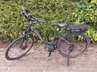 Stevens E-Bike Mod Lavena Forma Lady Rheinland-Pfalz - Ludwigshafen Vorschau