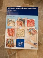 Atlas der Anatomie von Frank Netter Niedersachsen - Brietlingen Vorschau