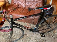 Wilier Rennrad Baden-Württemberg - Merzhausen Vorschau