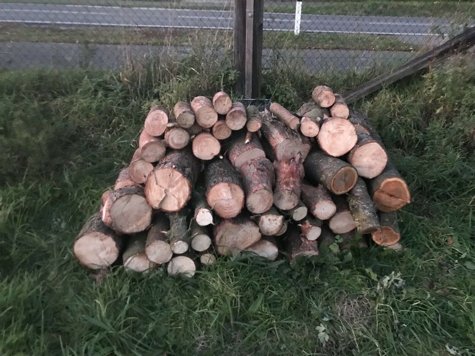 Brennholz Holz Feuerholz Kaminholz in Steinfurt