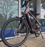 E-Bike*Stevens*Bosch CX*625Wh* Münster (Westfalen) - Wolbeck Vorschau