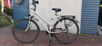 Damenfahrrad Pegasus Solero Alu light 28'' Niedersachsen - Bad Bederkesa Vorschau