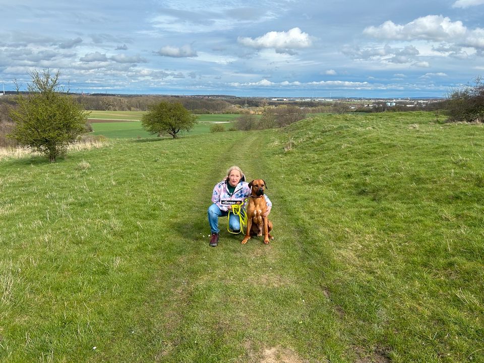 Hundebetreuung Urlaubsbetreuung ❣️ in Giesen