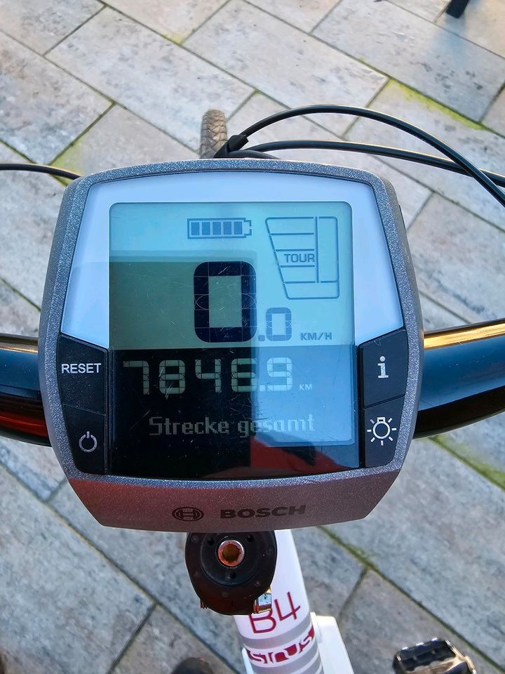 E- Bike Winora Sinus B4 in Castrop-Rauxel