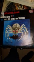 die drei Fragezeichen und die silberne Spinne als LP Rheinland-Pfalz - Kirchheimbolanden Vorschau