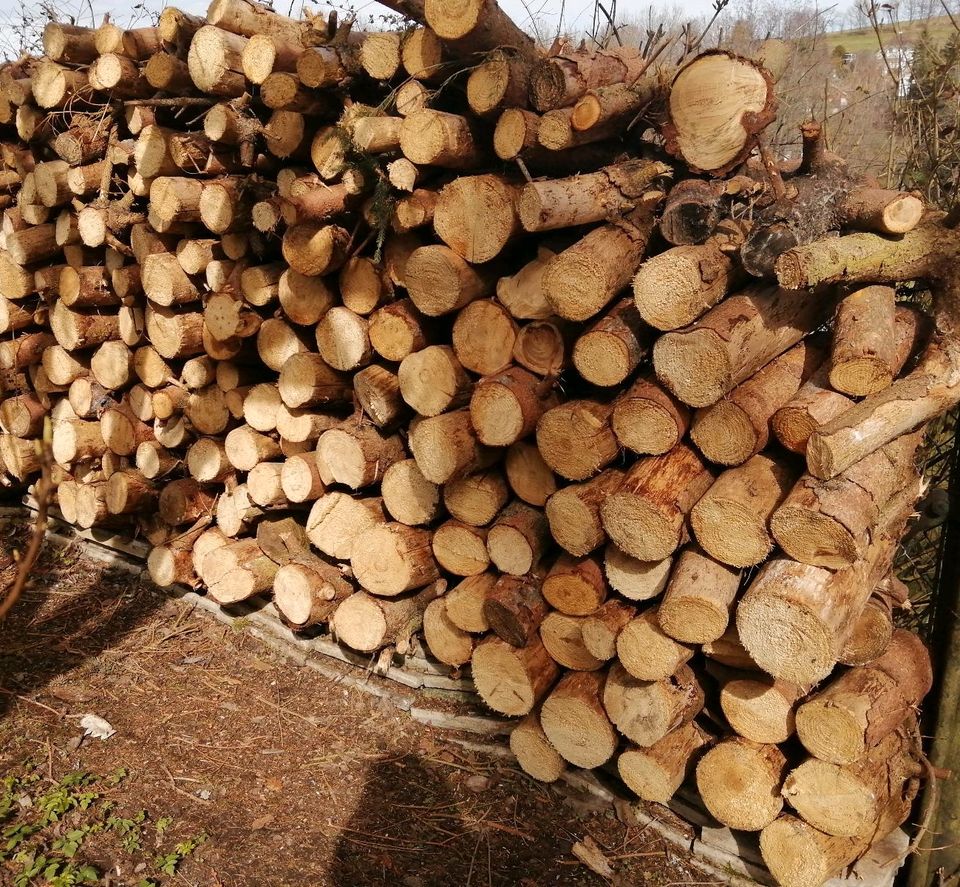 Holz Feuerholz Brennholz Ofenholz Kaminholz in Ilmenau