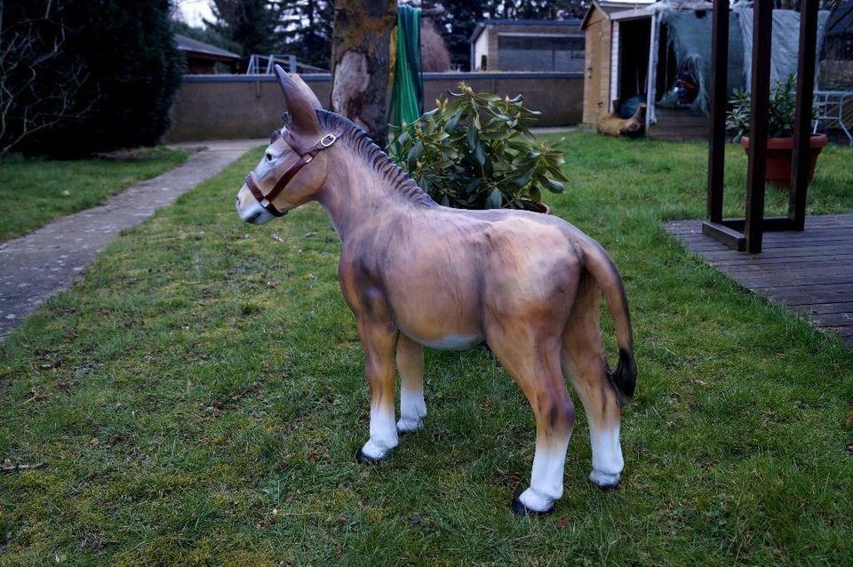 ESEL Figur Haus und Garten Tiere Dekoration 100 cm Groß in Siegen