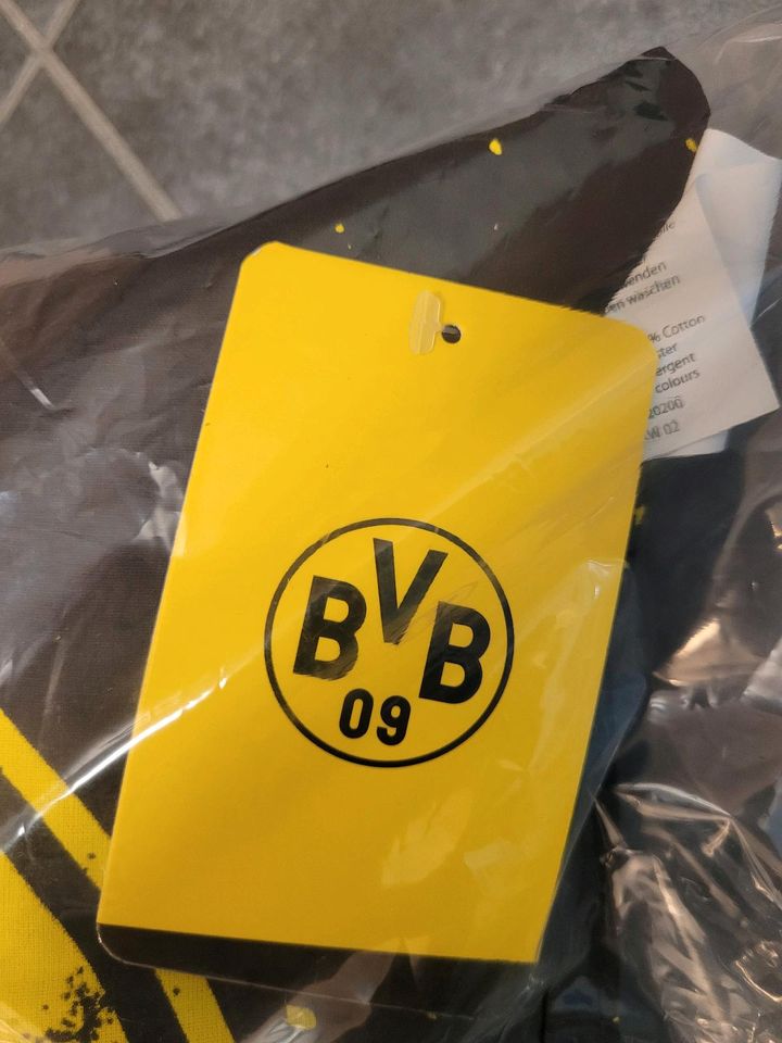 BVB Kissen in Bochum