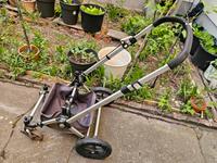 bugaboo cameleon 2 gestell Räder untergestelltasche Berlin - Charlottenburg Vorschau