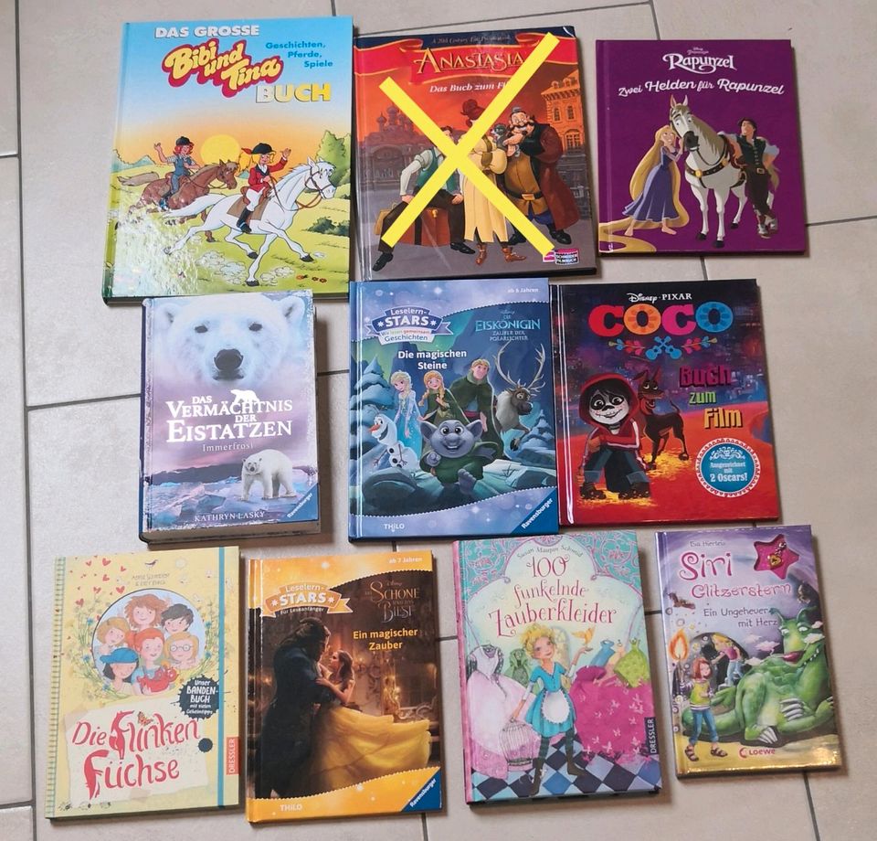 Kinderbücher Paket/Konvolut für Mädchen. Disney, Ravensburger in Unterneukirchen