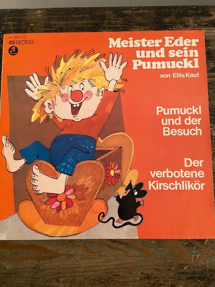 4 sehr geliebte LPs Pumuckl zu verkaufen in Ostfildern