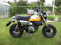 Neue Honda Monkey 125 mit 1 KM Bayern - Augsburg Vorschau