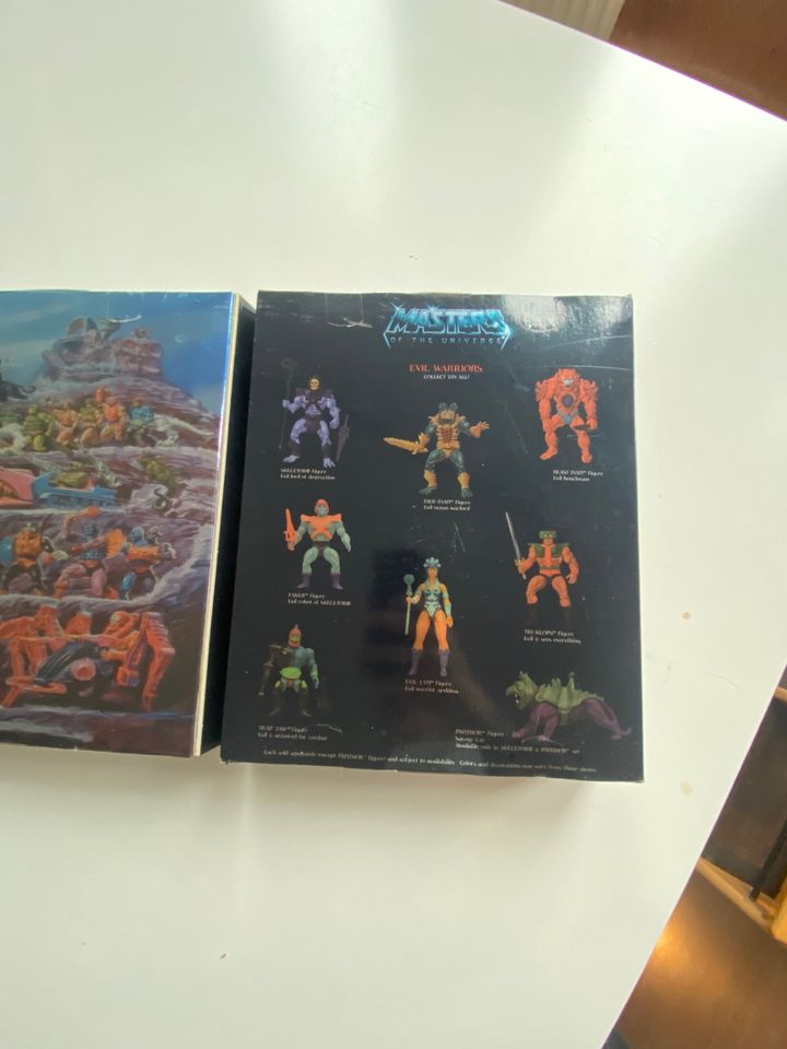 MASTERS OF THE UNIVERSE LImeted Edition 1/8000 in Düsseldorf