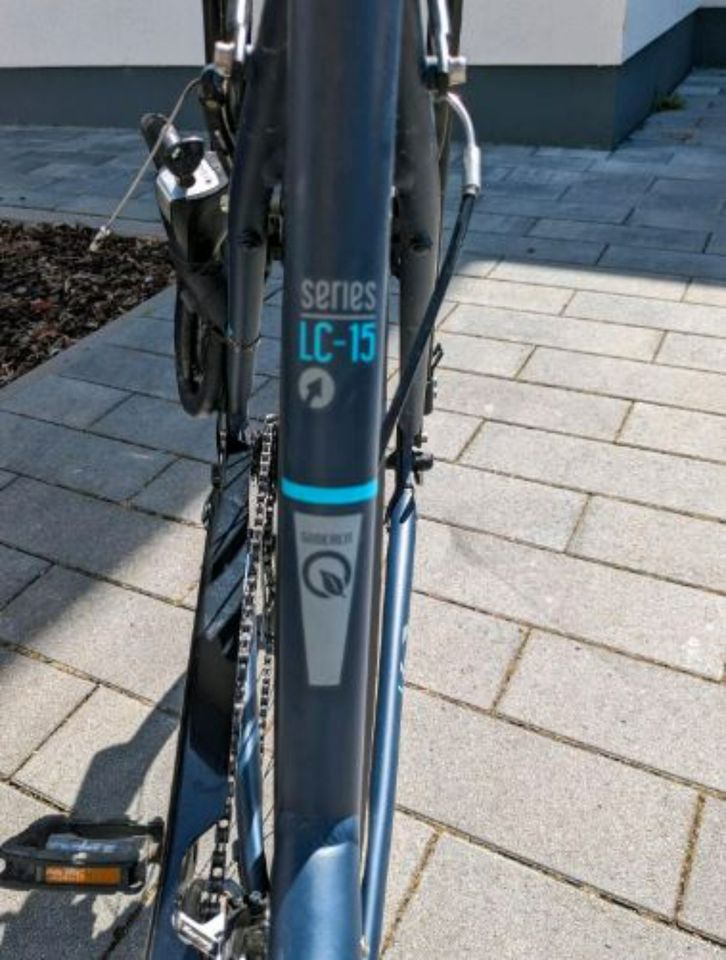 Damenfahrrad Gudereit Rahmengröße 53 cm Fahrrad in Lambsheim