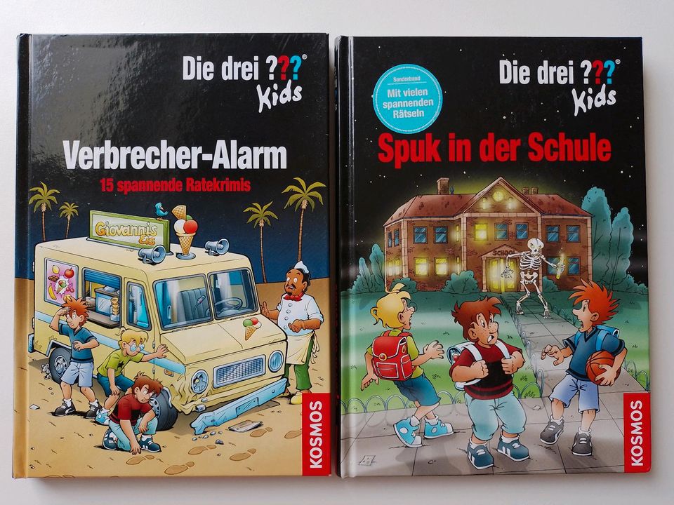 Verbrecheralarm Spuk in der Schule Drei Fragezeichen Kids BtBj in Neudenau 