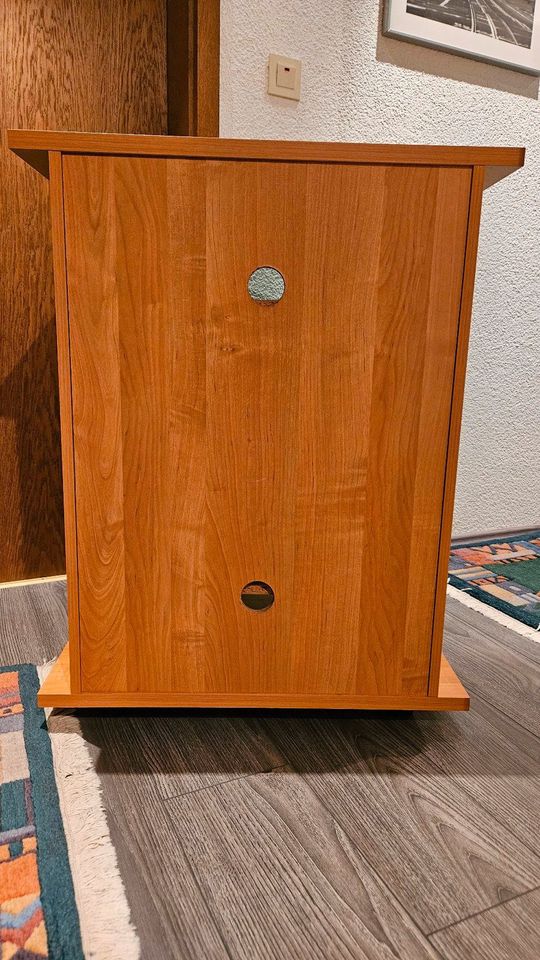 HiFi Rack mit Rauchglastür aus Holzfurnier mit geschl. Rückwand in Limburg