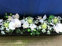 Orchideen hochwertiger künstlicher Blumenschmuck Hochzeitsdeko Hannover - Döhren-Wülfel Vorschau
