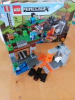 Lego Minecraft 21166 Sachsen - Ostrau Vorschau