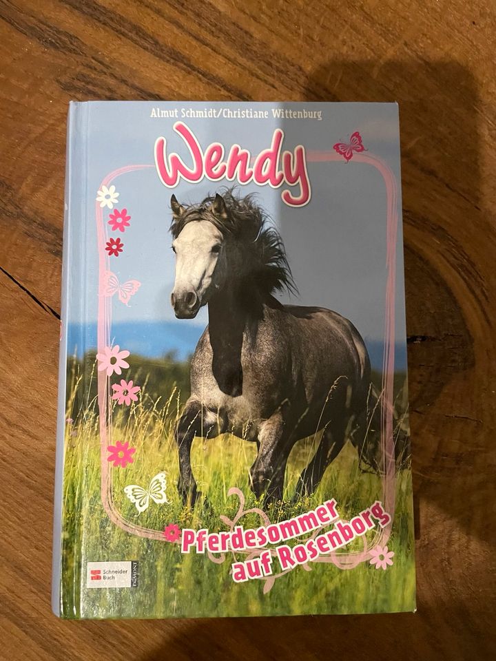 Wendy kinder/ Jugend Buch in Burgsinn