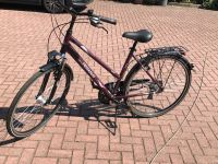 Pegasus Damen Fahrrad Nordrhein-Westfalen - Lippetal Vorschau