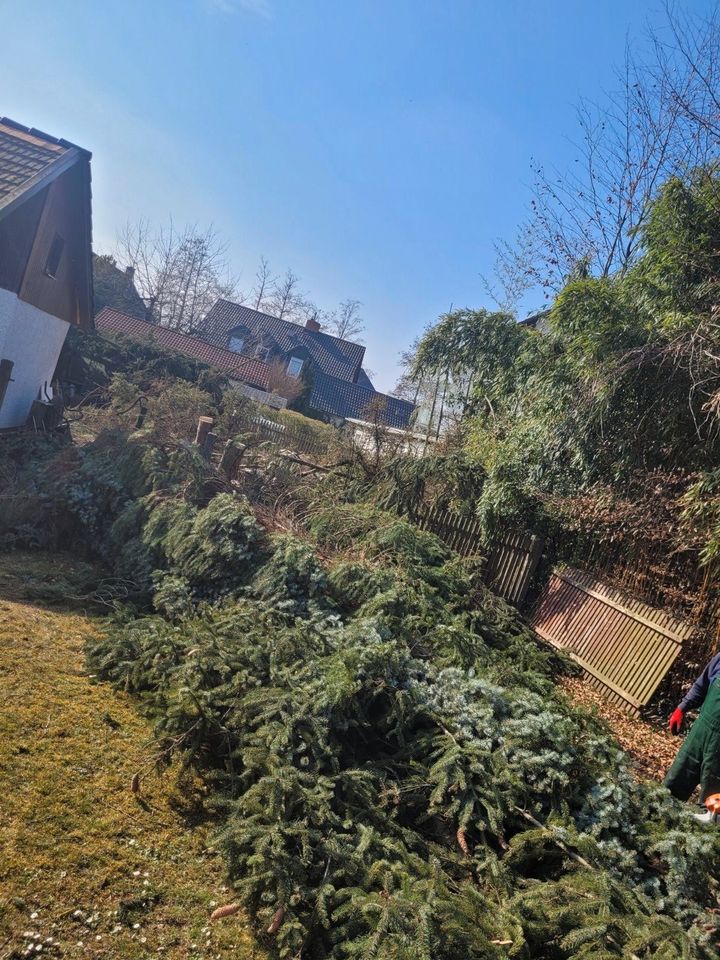 ❗Baumfällung Problembaum fällen Hecke entfernen roden in Bruckberg bei Landshut