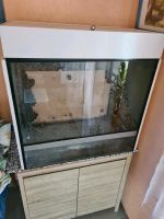 Glas Terrarium  mit  Unterschrank Baden-Württemberg - Pfedelbach Vorschau