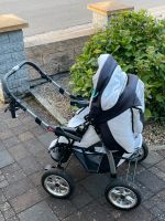 Kinderwagen von Joy Rheinland-Pfalz - Kaiserslautern Vorschau