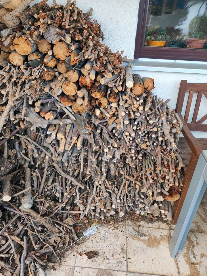 Brennholz gemischt geschnitten trocken in Igling