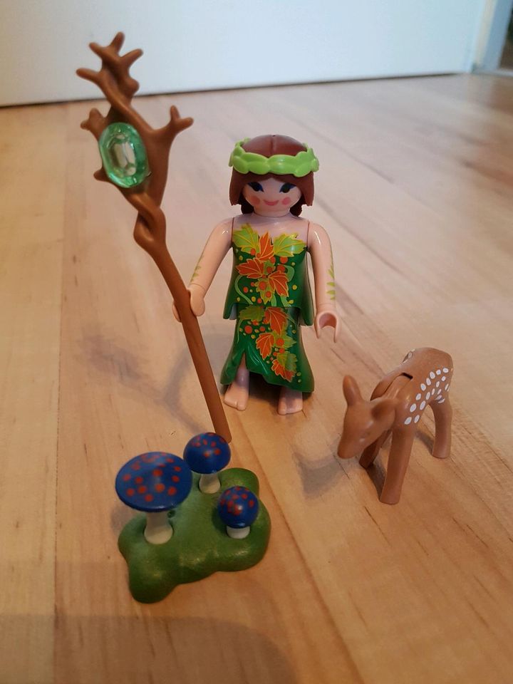 Playmobil Fairies Set 9138, 70299, 9139, 70059, 5596, 9438, 5381 in Probsteierhagen