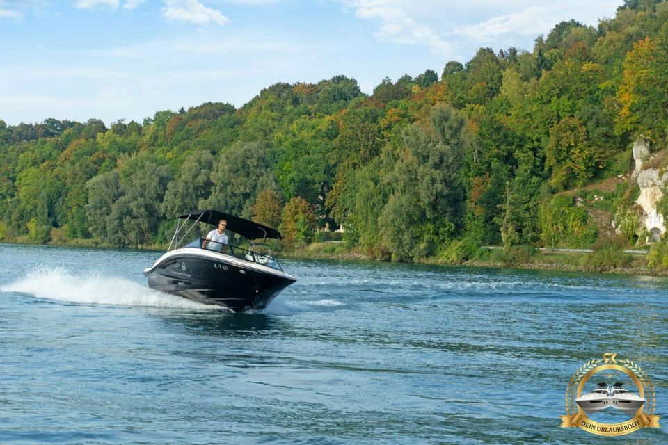 Sea Ray 19 SPX Motorboot mit GPS auf Trailer zum Mieten in Parkstein