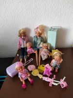 Barbie mit Zubehör Sachsen - Großenhain Vorschau