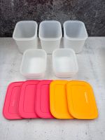 Tupperware Eis-Kristall 2 x 450 ml & 3 x  1,1 l Behälter Baden-Württemberg - Lichtenau Vorschau