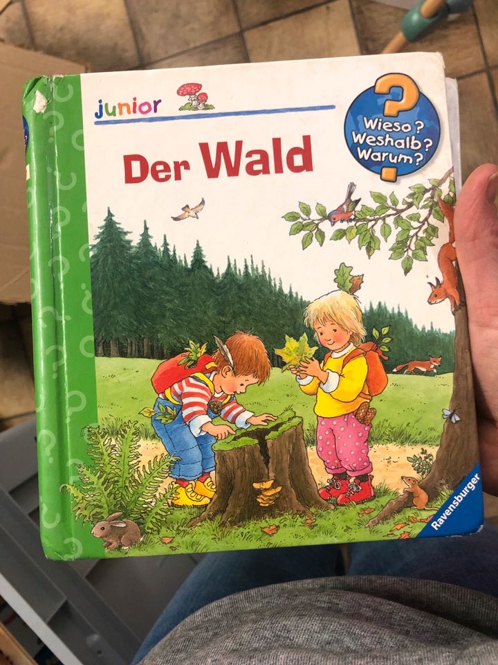 Wieso? weshalb? warum? Junior Bücher - verschiedene Bücher in Nistertal