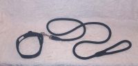 ☆NEU Hundeleine mit Halsband☆ Bremen - Horn Vorschau