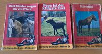 Mini-Bücher, Pferde, für Jugendliche Baden-Württemberg - Ulm Vorschau