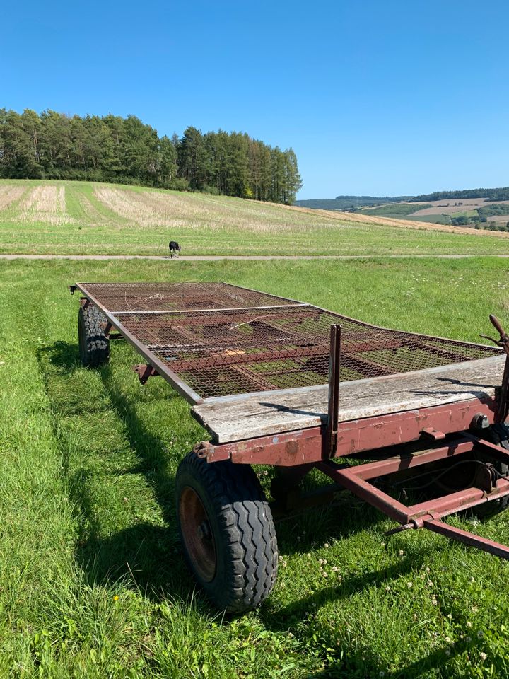 Flachwagen Plateau Anhänger Ballenwagen Krone Hoffmann Diadem in Brakel