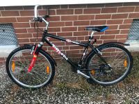 Fahrrad Mountainbike Niedersachsen - Winnigstedt Vorschau