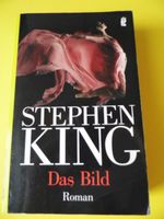 Buch * Das Bild * Stephen King Taschenbuch Thriller Neuhausen-Nymphenburg - Neuhausen Vorschau