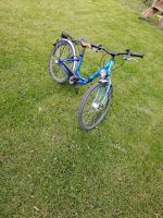 Fahrrad 24 Zoll Niedersachsen - Wittorf Vorschau