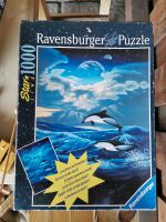 1000 Teile Ravensburger Puzzle Schleswig-Holstein - Raisdorf Vorschau