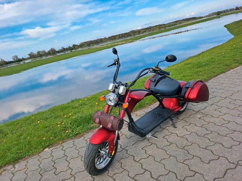 Moped Elektro 45km/h in Hansestadt Seehausen