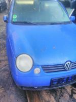 VW Lupo Schlachtfest Motorhaube Kotflügel Scheinwerfer Tür Nordrhein-Westfalen - Blomberg Vorschau