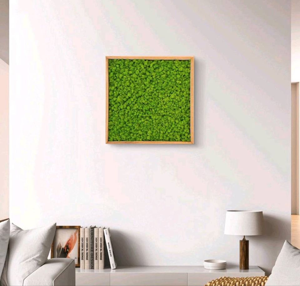 Moosbild Islandmoos 58x58cm in Paderborn