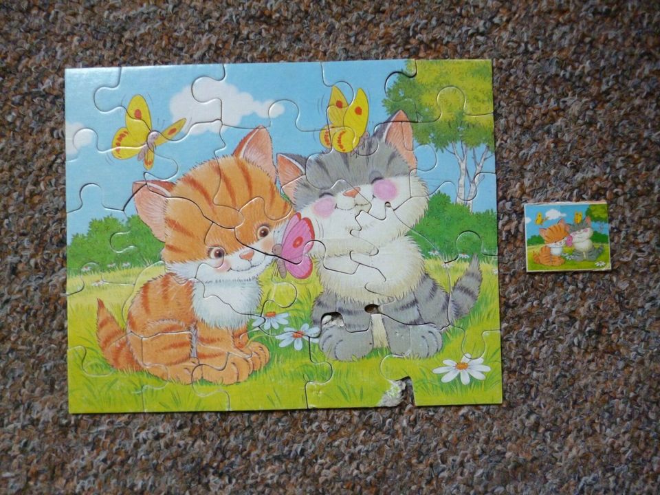 kleines Katzenpuzzle in Greiz