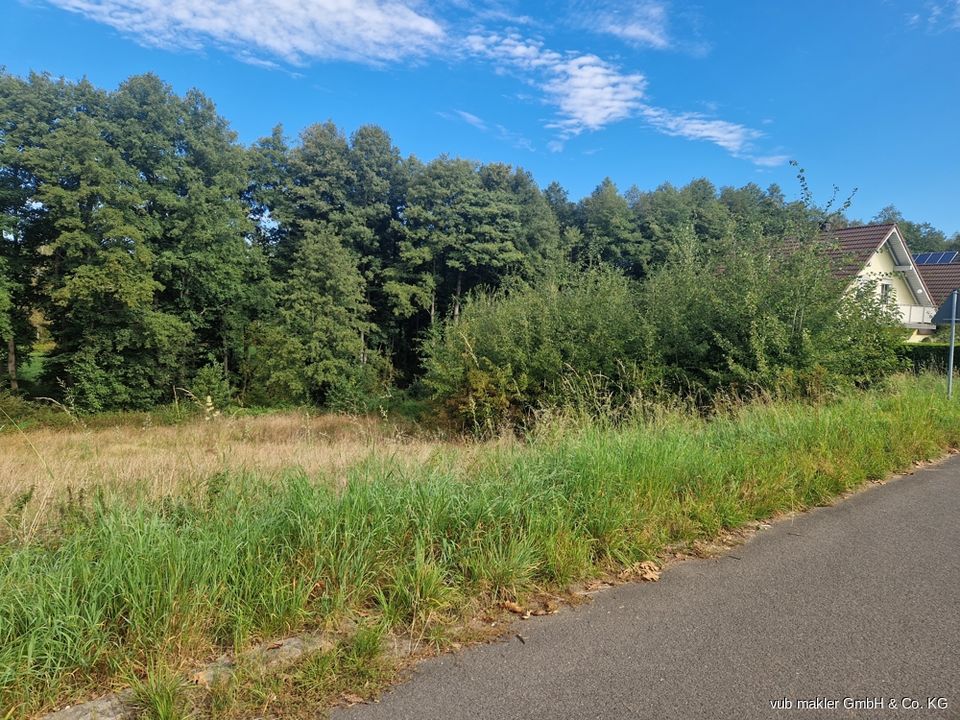 Traumhaftes Baugrundstück in Pullenreuth mit unverbaubarem Blick in Pullenreuth