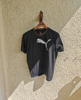 Puma Herren Sport Fitness T-Shirt Gr. "M" Feldmoching-Hasenbergl - Feldmoching Vorschau