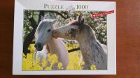 Puzzle * 1000 Teile * mit Puzzle Conserver Nordrhein-Westfalen - Jülich Vorschau